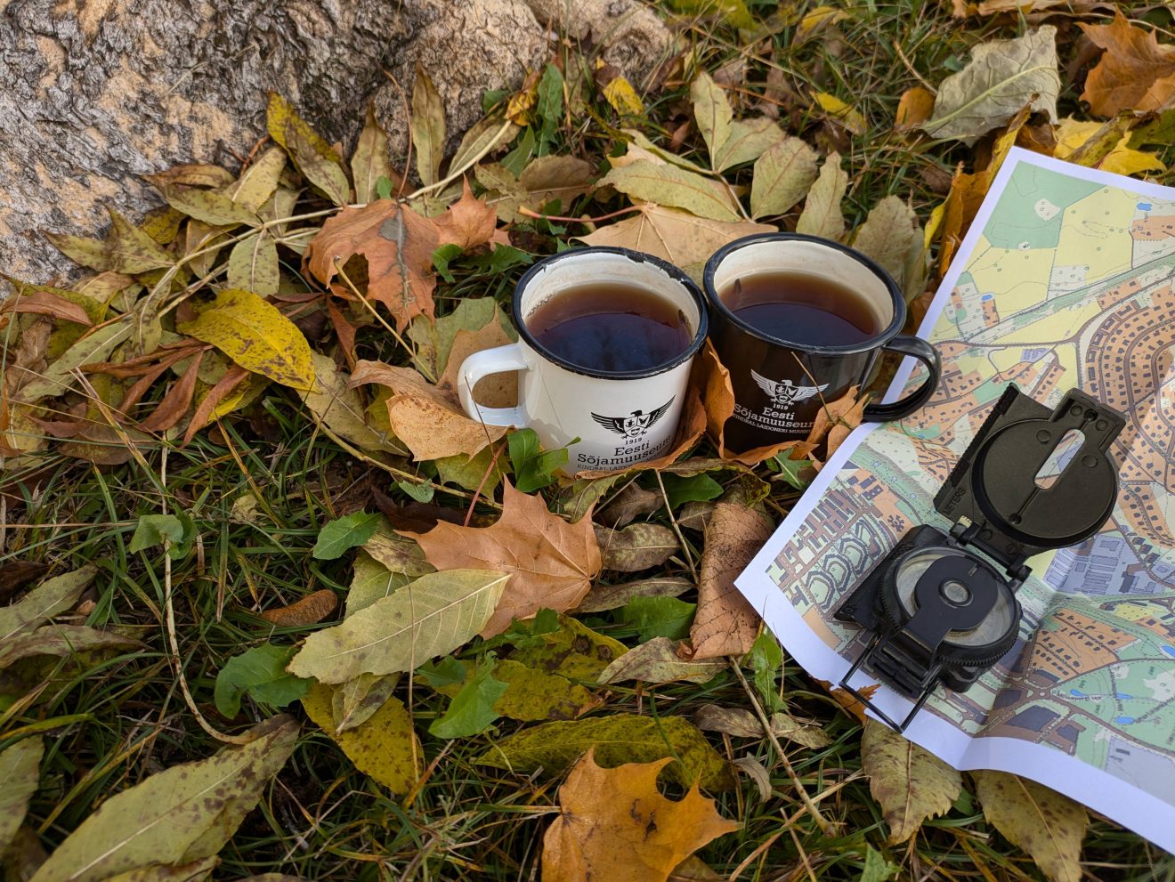 Kaks plekk-kruusi teega kollaste sügislehtede sees