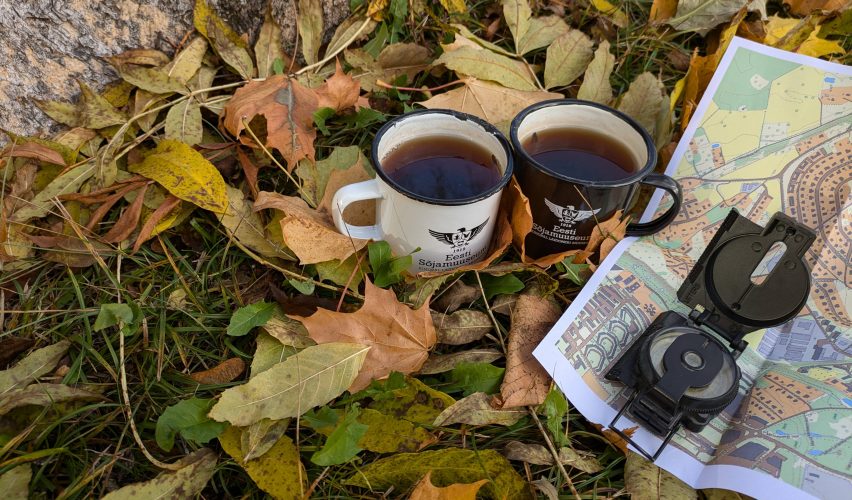 Kaks plekk-kruusi teega kollaste sügislehtede sees