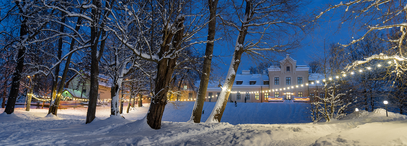 Viimsi mõisa park talvel